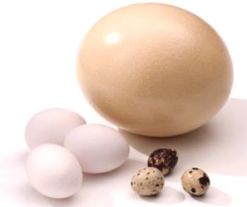 Foto de huevos de avestruz de varios tamaños. Como romper el huevo de avestruz.