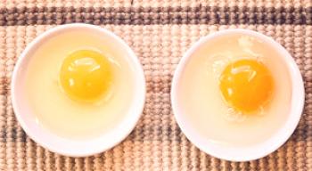 Koliko beljakovin v piščančjem jajcu je - koliko maščob