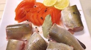Kako kuhati lipana - recepti resničnih ribičev