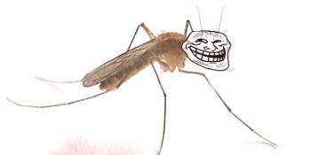 ¿Cómo encontrar y matar a un mosquito? ¡Incluso de noche!