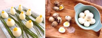 Пъдпъдъчи яйца с гастрит са добри или лоши