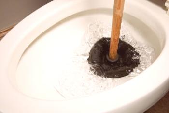 Cómo limpiar la suciedad en el inodoro si está obstruido: 8 formas efectivas