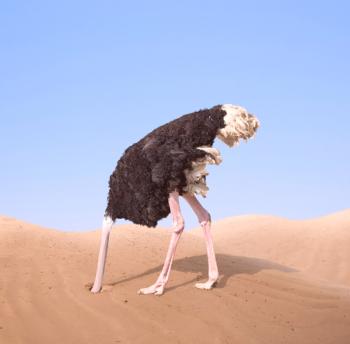 ¿Por qué un avestruz esconde su cabeza en la arena y realmente lo hace?