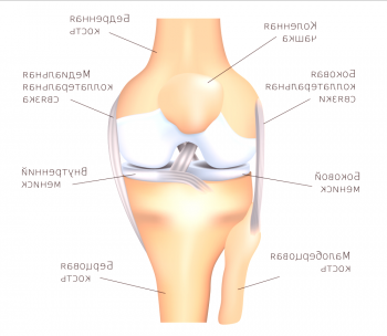 Articulación de la rodilla: tratamiento domiciliario.
