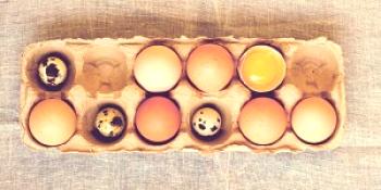 Kako preveriti svežino jajc