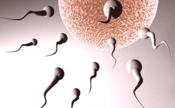 Infertilidad en mujeres y hombres: causas, síntomas y tratamiento de la infertilidad.