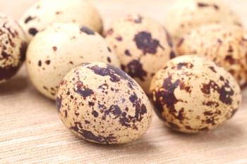 Kaj so jajca prepelice koristna?