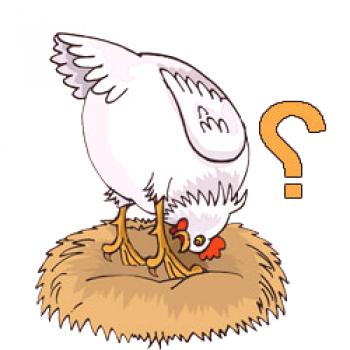 Kaj storiti, če piščanci: ne nosite, nosite nenavadna jajca