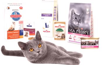 Forraje para gatos premium: calificaciones y opiniones de los mejores alimentos.