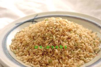 Día de descarga sobre el arroz - carnitina y salud.
