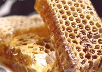 La apicultura como negocio es ilimitada.