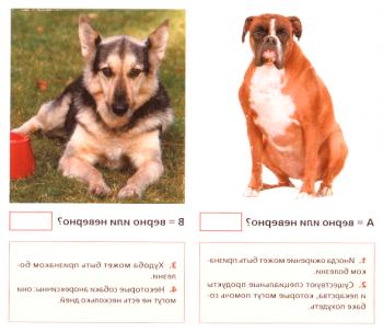 Test 16 - Težave s psi za hranjenje
