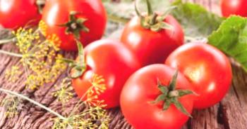 Variedades de tomates de paja para terrenos abiertos e invernaderos.