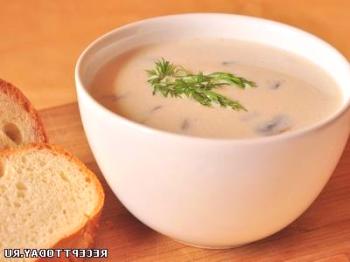 Recept: gobova juha s kremo