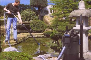 Nega na ribniku na vrtu z lastnimi rokami: bistvo dejavnosti in kratko navodilo