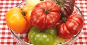 Grandes variedades de tomates para terrenos abiertos e invernaderos.