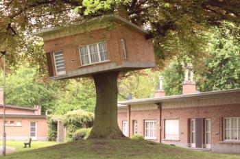 ¿Cómo hacer una casa en un árbol con tus propias manos?