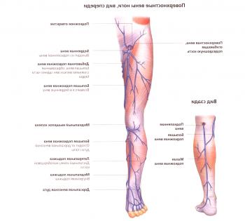 Kako je zdravljenje nožnih žil?