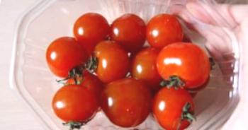 Tomates cherry: las mejores variedades para suelo abierto: alto y alto
