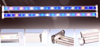 Izbira in ureditev LED svetilke za akvarij