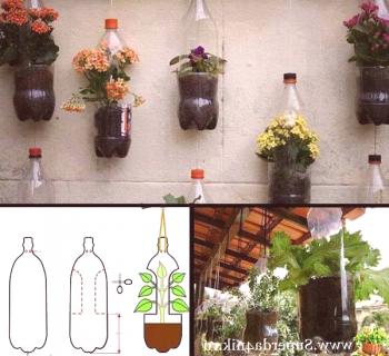 Cómo plantar flores en botellas.