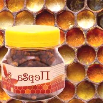 La abeja perga: propiedades útiles y curativas, cómo tomarla.