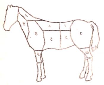 Kako razstaviti trup konjev: video