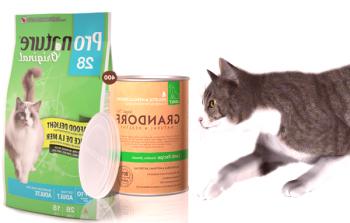 Comida holística para gatos: Calificaciones y comentarios sobre la mejor alimentación