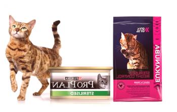 Forraje para gatos esterilizados y gatos: una visión general de la mejor alimentación