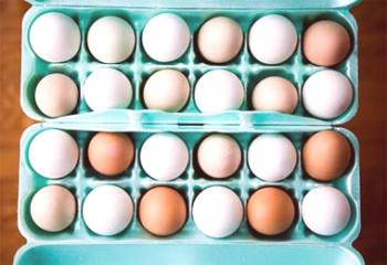 ¿Cuál es el valor nutricional de los huevos cocidos y crudos?
