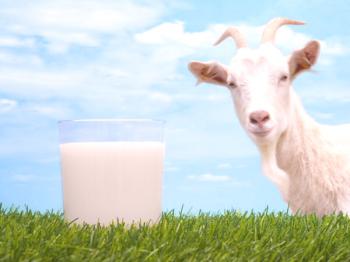 Козе мляко е добро и лошо: витамини в козе мляко