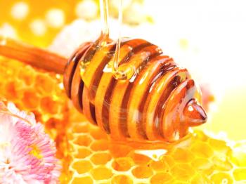¿Cuáles son las vitaminas en la miel: la composición, la tasa diaria de miel?