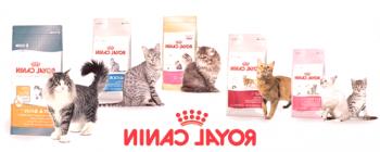 Суха храна за котки Royal Canin: Най-добро качество в ценова категория