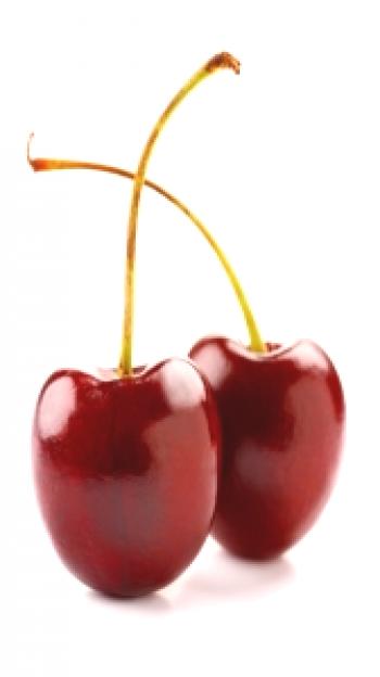 Cherry: dobre in slabe, sorte