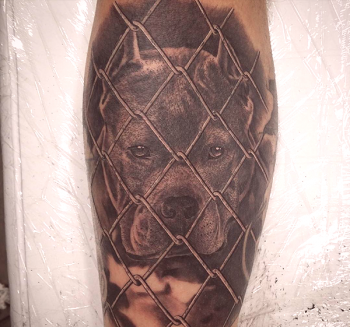 El significado de un tatuaje pit bull: amigo de un hombre valiente