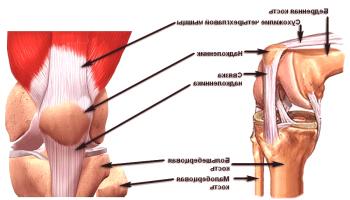 Poškodbe kolena - raztezanje vezi