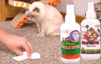 Antihadini za mačke: navodila za uporabo, pregledi