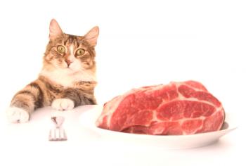 Purine Wan za mačke: Značilnosti prehranskih obrokov za učence različnih starosti