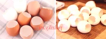 Piščančji jajčni šal - odgovori na vprašanja
