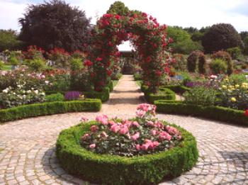 ¿Qué es un jardín de rosas y sus variedades, el significado de la palabra 