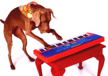 El perro toca el piano