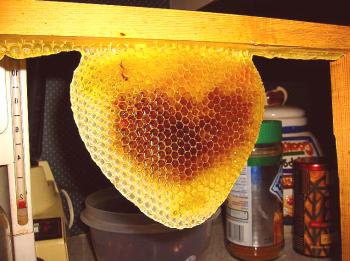 Kaj je čebelarstvo brez voska?