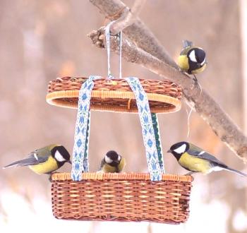 ¿Qué alimentar a las aves en invierno en un comedero?