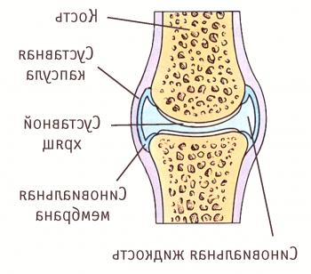 Tekočina v kolenu se nabere: ali je nevarna?