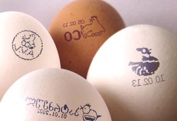 Koliko stane povprečno 1 piščančje jajce: pregled in fotografija