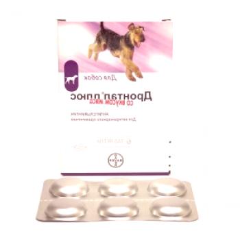 Corregir la dosificación y aplicar Drontal para perros.