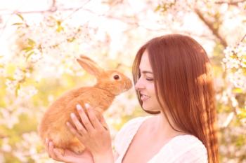 Cómo nombrar un conejo: nombres para niñas y niños