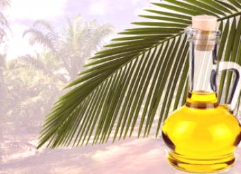 Palmovo olje: dobro in slabo