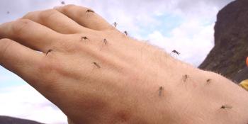 Аромати, които плашат и привличат комари и комари
