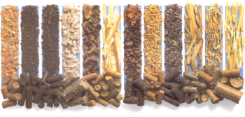 Cómo hacer pellets: instalación y materia prima para la producción.